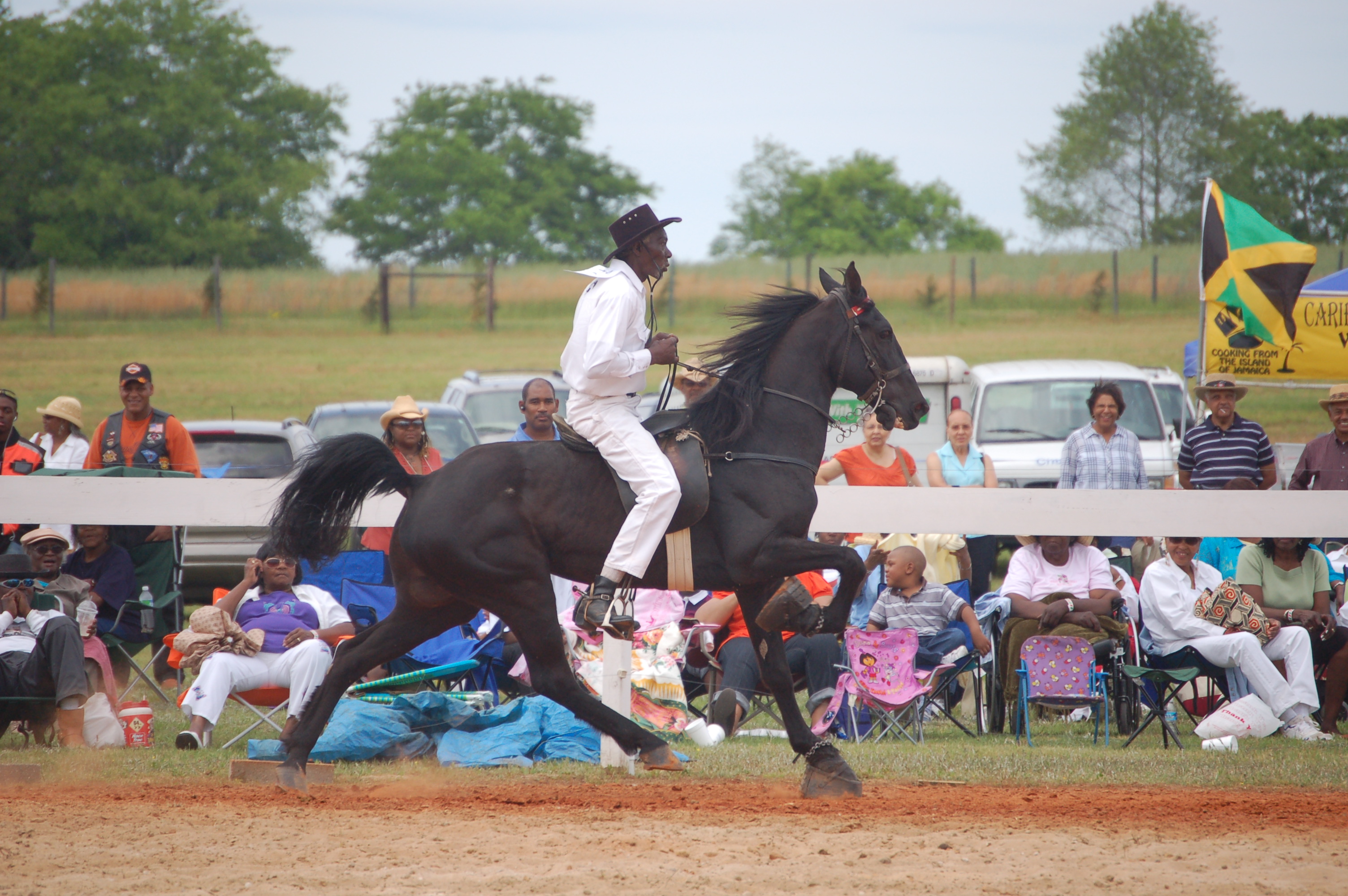 Black Cowboy Man Or Myth Festival